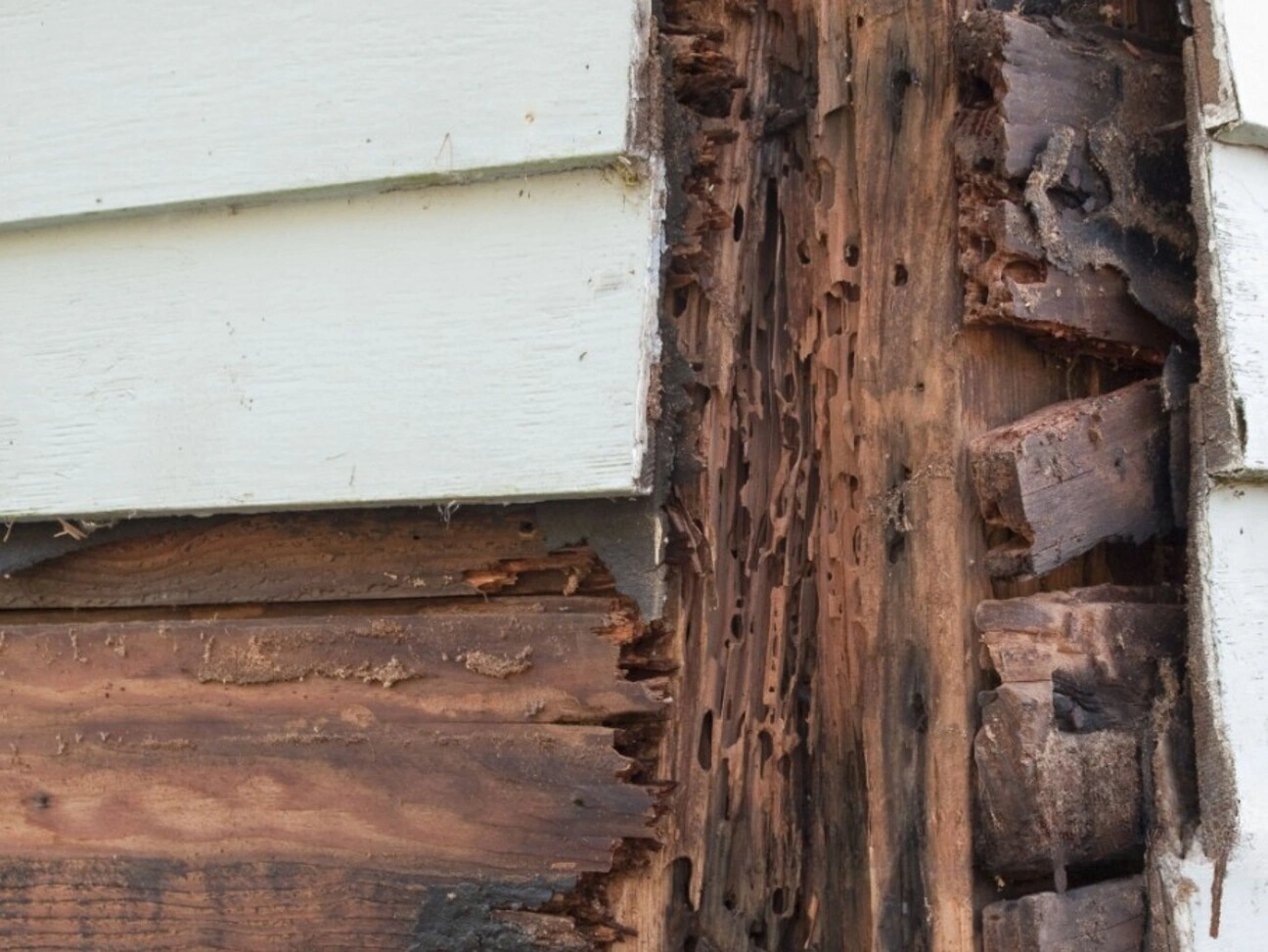 San Diego CA Siding Repair and Replacement