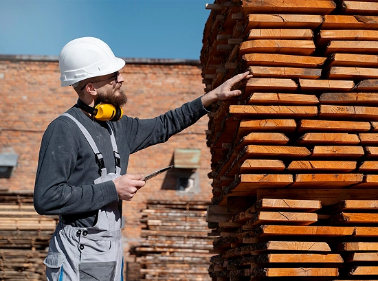 Search Comprehensive Wood Damage Solutions